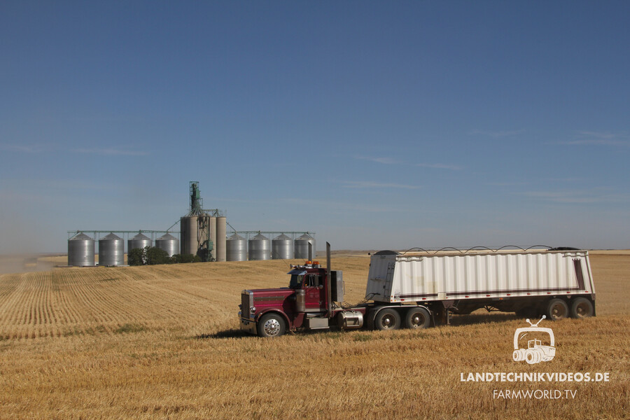 Grain Harvest Canada_02.jpg